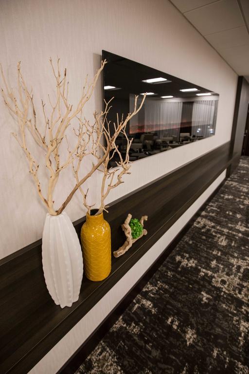 Wyndham Chicago O'Hare Hotel Роузмънт Екстериор снимка